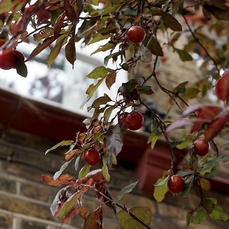 Luxury London Garden Home Sleep 7, 2 Mins To Metro Eksteriør billede