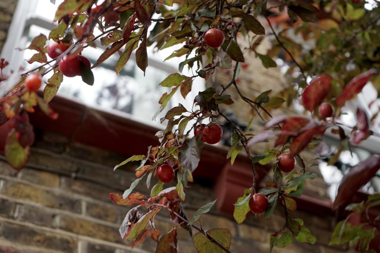 Luxury London Garden Home Sleep 7, 2 Mins To Metro Eksteriør billede